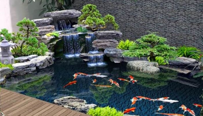 Cách chọn vị trí làm hồ cá cho biệt thự đón tài lộc 4 Sai lầm cần tránh khi thiết kế hồ cá biệt thự